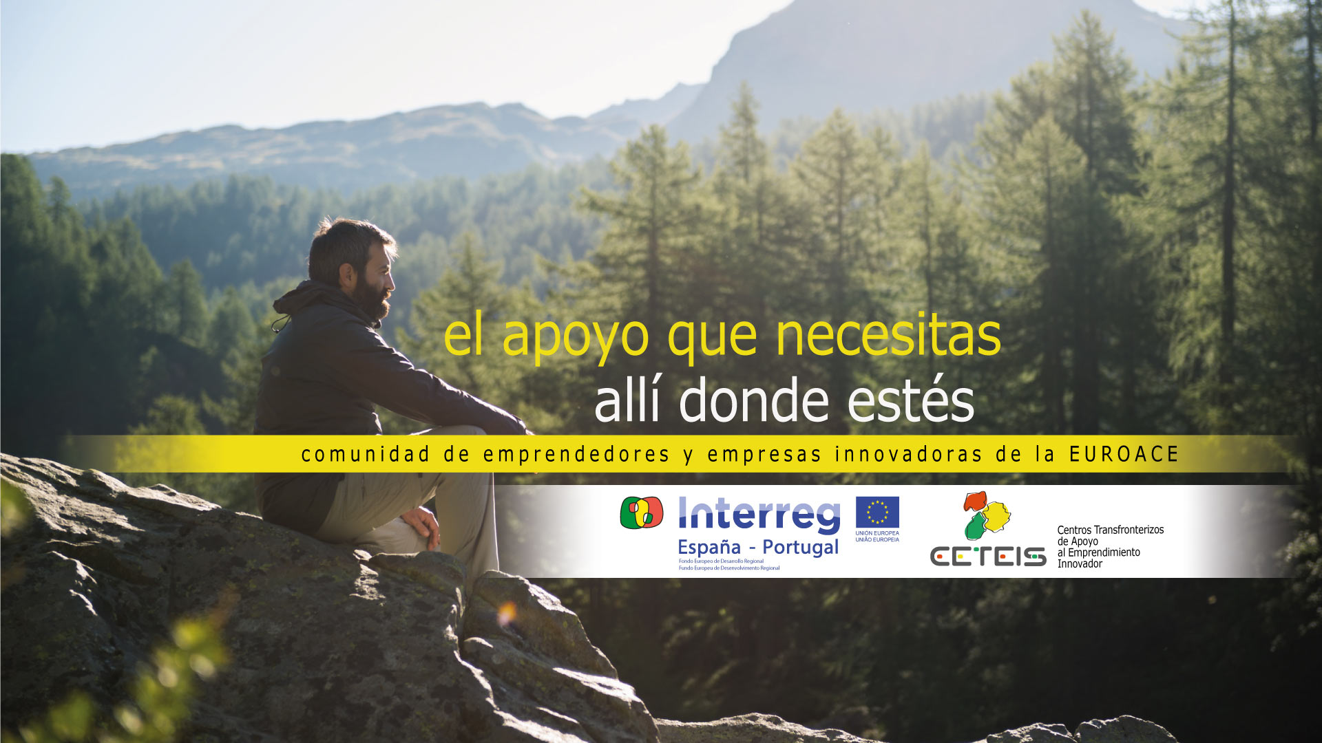 baner-principal
